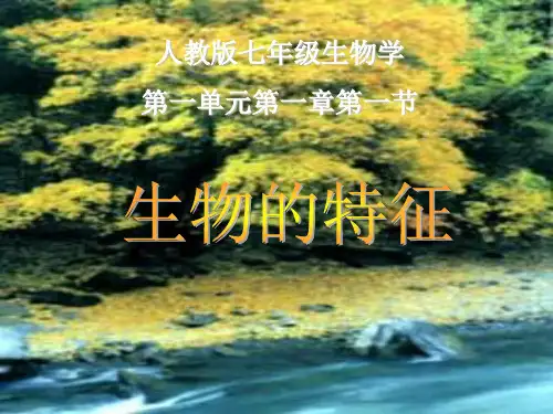 人教版七年级生物上册第一单元第一章第一节  生物特征 课件(共21张PPT)