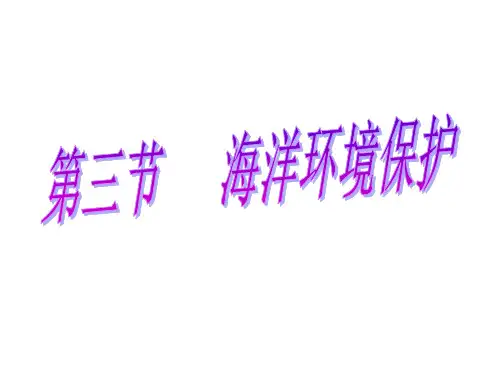 海洋环境保护(PPT40页)