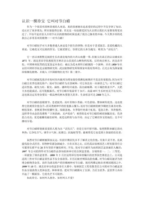 认识一棵珍宝 它叫对家白蜡
