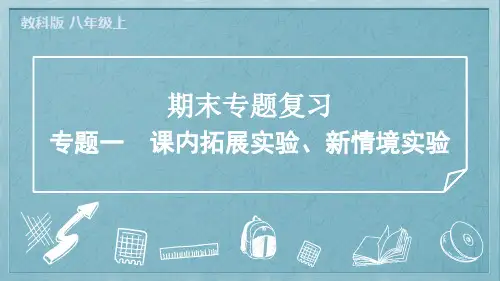 2024年教科版八年级上册物理期末复习专题一课内拓展实验、新情境实验