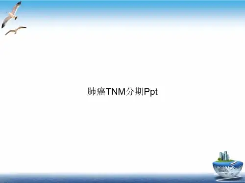肺癌TNM分期PPT课件
