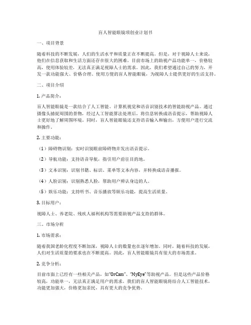 盲人智能眼镜项创业计划书