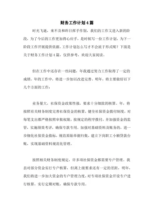 2020年财务工作计划4篇
