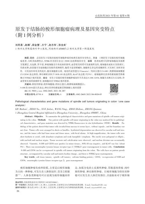 原发于结肠的梭形细胞瘤病理及基因突变特点(附1例分析)