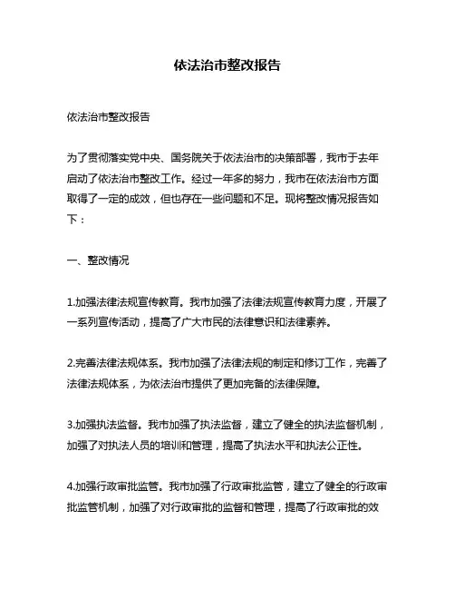 依法治市整改报告