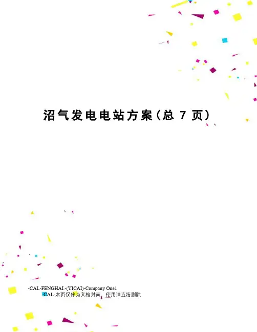 沼气发电电站方案