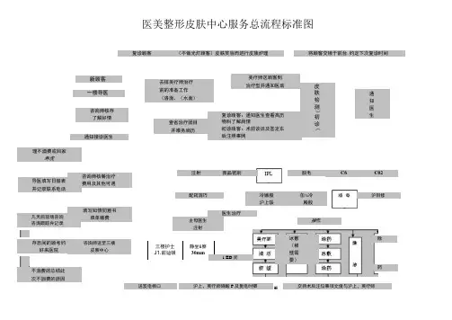 医美整形皮肤中心服务总流程标准图