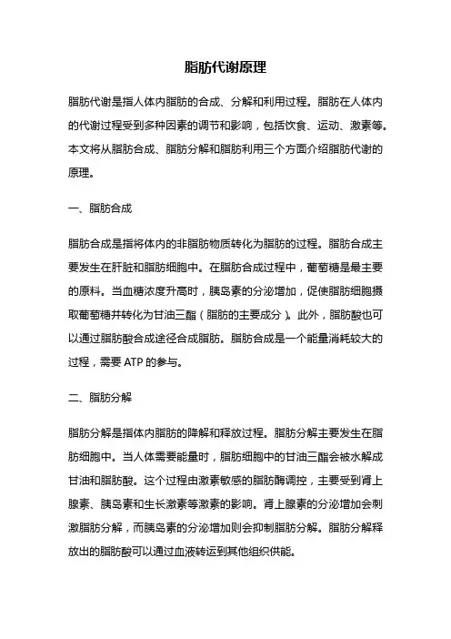 脂肪代谢原理