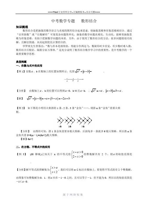 中考数学专题之数形结合