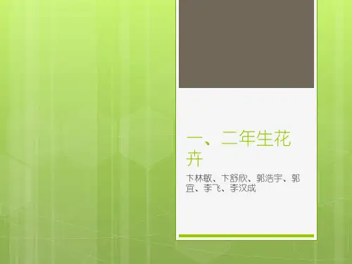 一、二年生花卉