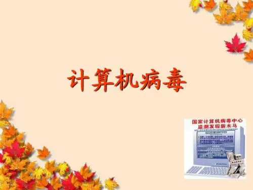 信息技术计算机病毒