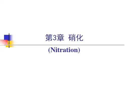 硝化ppt课件