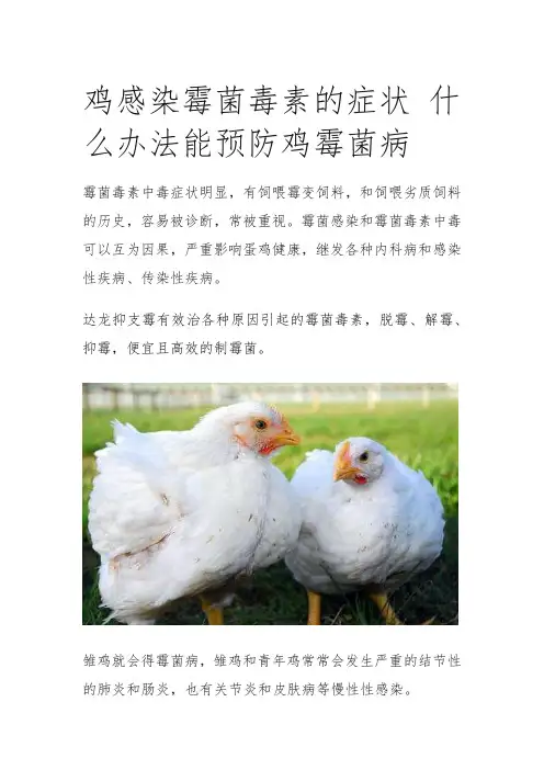鸡霉菌毒素 (1)