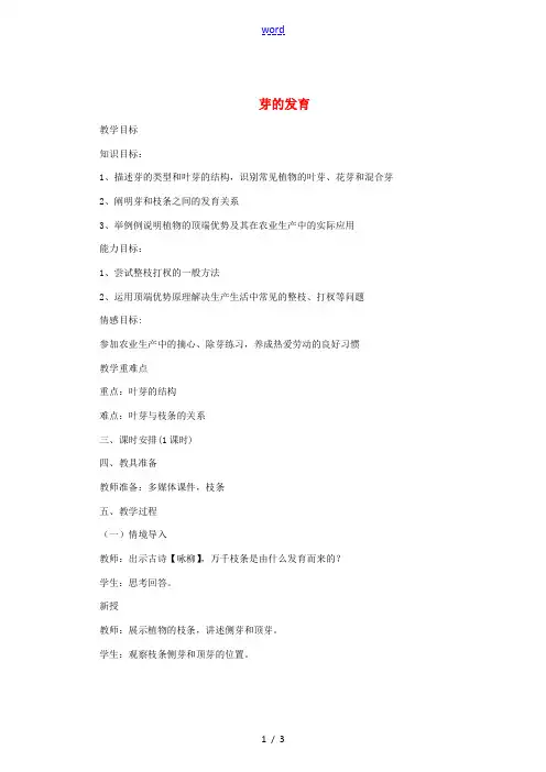 八年级生物上册 3.1.3 芽的发育教案 (新版)冀教版-(新版)冀教版初中八年级上册生物教案