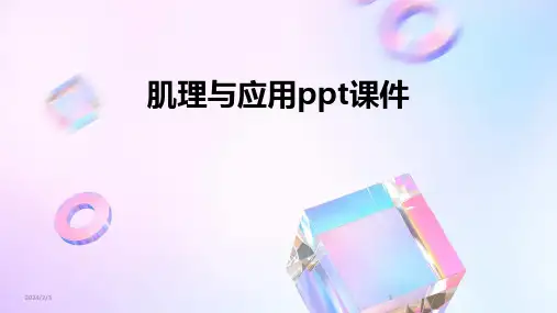 2024年度肌理与应用ppt课件