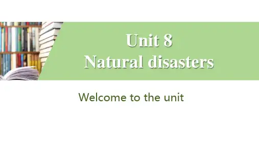 牛津译林版英语八年级上册Unit 8 Natural disasters习题课件(共20张PPT)