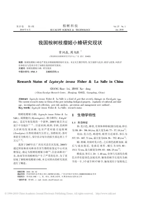 我国桉树枝瘿姬小蜂研究现状