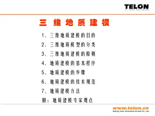 direct三维地质建模方法及规范