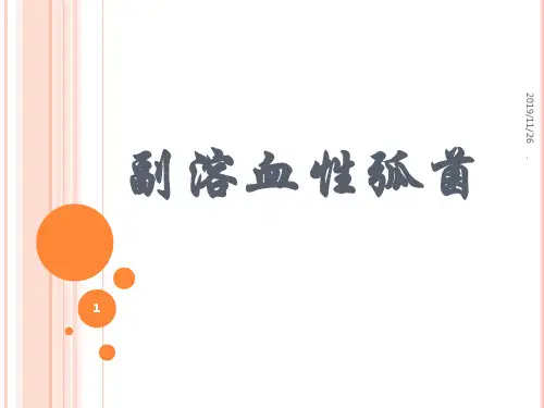 浅谈副溶血性弧菌PPT课件