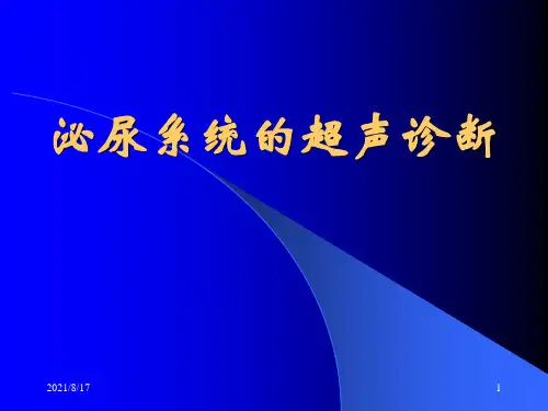 泌尿系统及前列腺超声检查