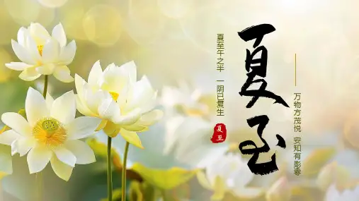 夏至节气通用PPT模版