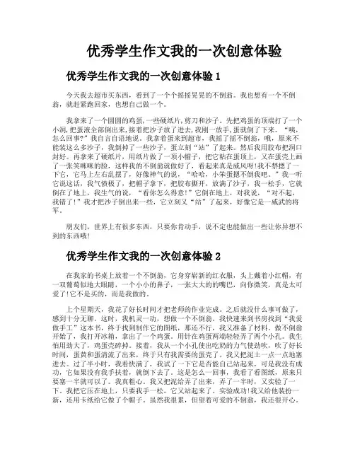 优秀学生作文我的一次创意体验