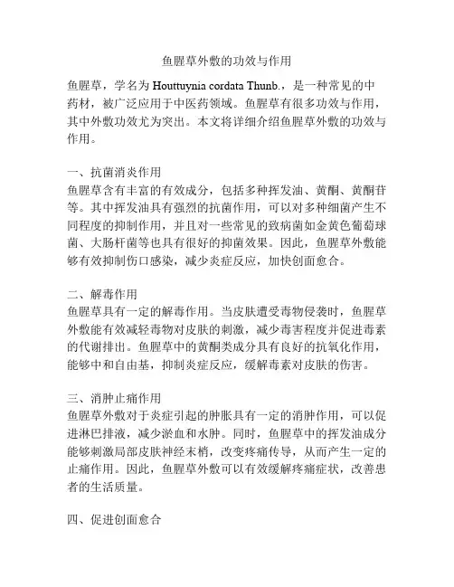 鱼腥草外敷的功效与作用