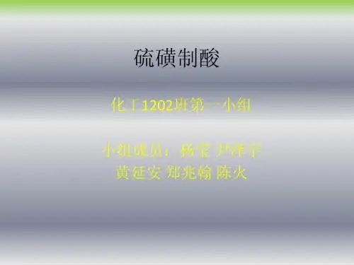 硫磺制酸化工