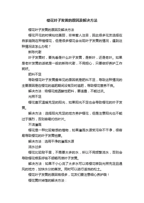 樱花叶子发黄的原因及解决方法