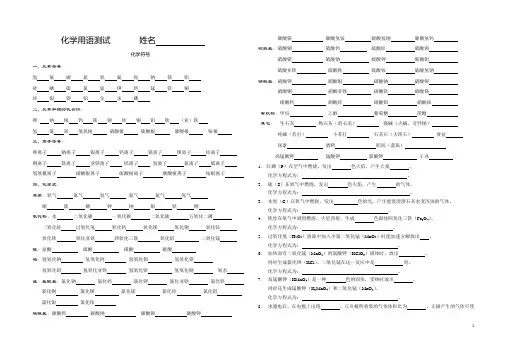 化学用语专题练习(九年级化学总复习)