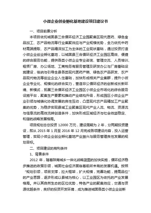 小微企业创业孵化基地建设项目建议书