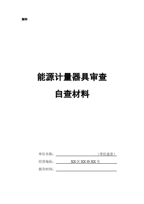 能源计量器具审查自查材料