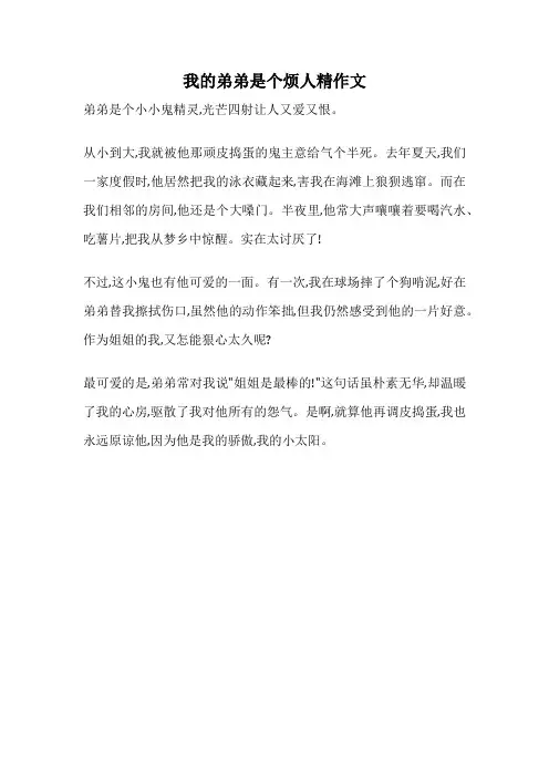 我的弟弟是个烦人精作文