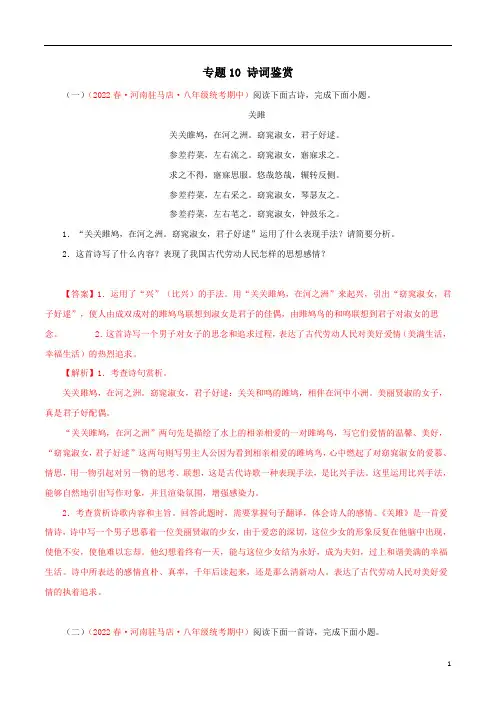 专题10：诗词鉴赏2022-2023学年八年级语文下学期期中期末考点大串讲(部编版)(解析版)