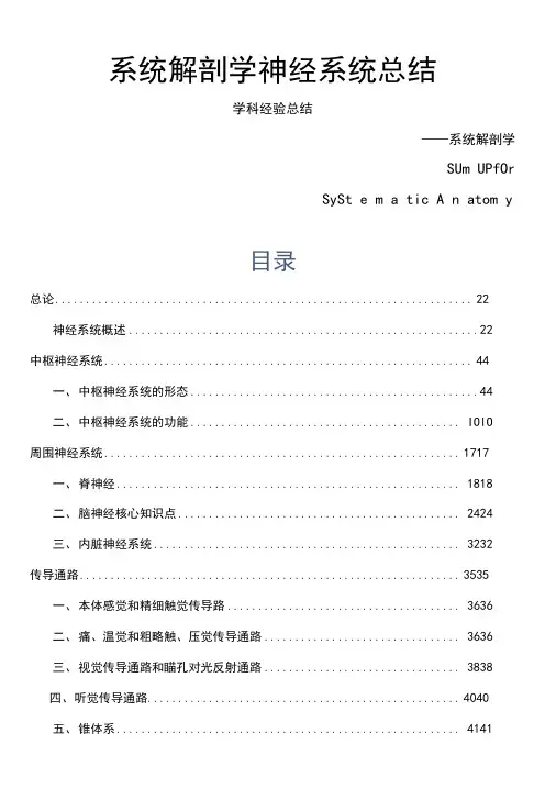 系统解剖学神经系统总结(知识点)