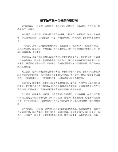 情不知所起一往情深完整诗句