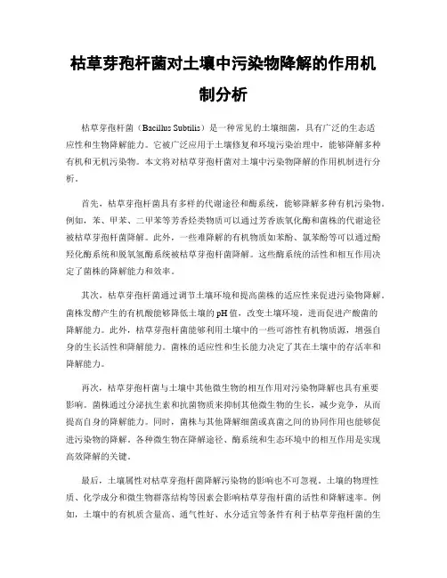枯草芽孢杆菌对土壤中污染物降解的作用机制分析