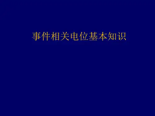 事件相关电位基本知识学习