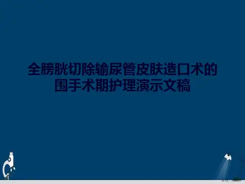 全膀胱切除输尿管皮肤造口术的围手术期护理演示文稿