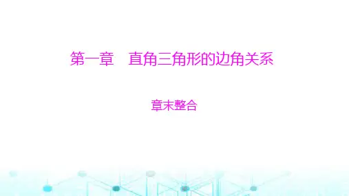 北师大版九年级数学下册第一章章末整合课件