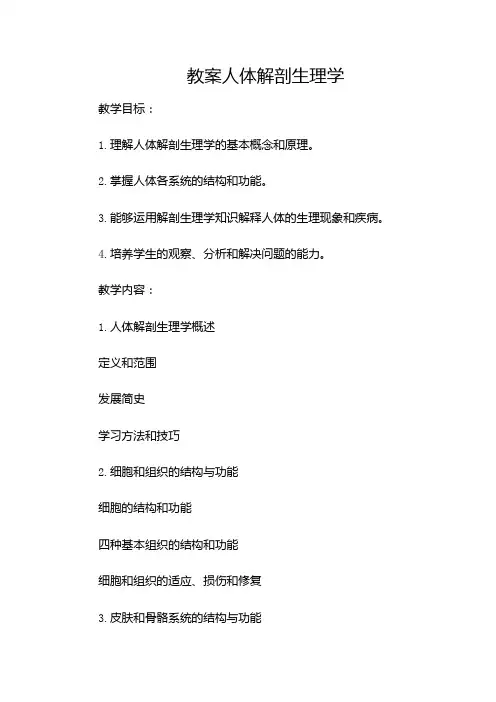 人体解剖生理学教案(带附加条款)