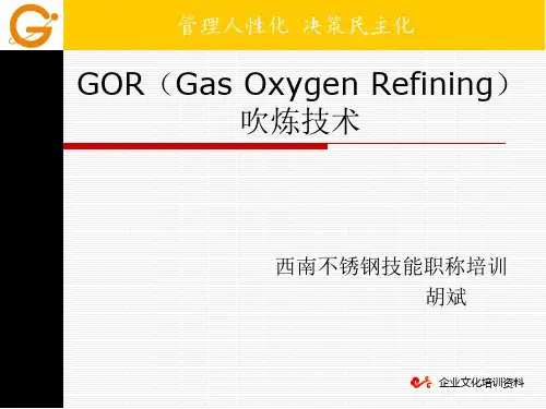GOR课件