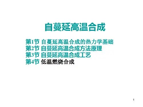 5 自蔓延高温合成
