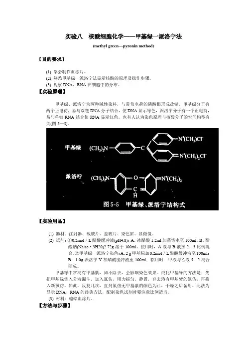 实验八  甲基绿一派洛宁法
