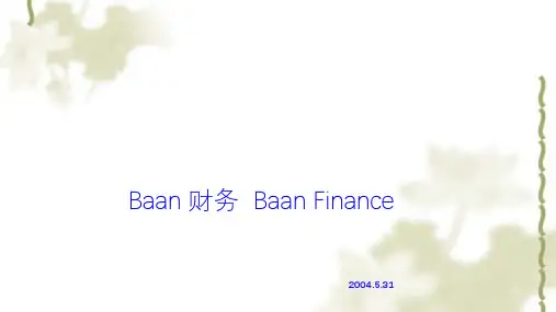 财务系统概述ppt课件