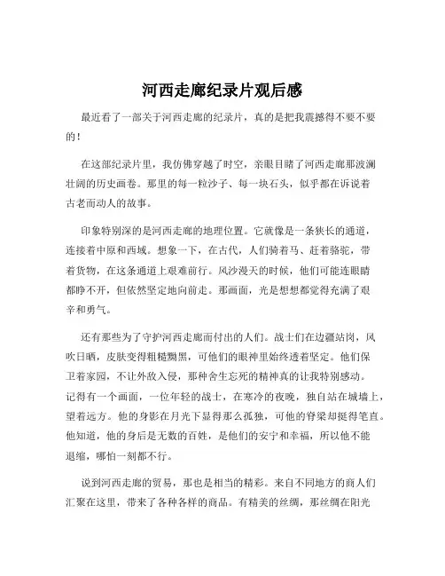 河西走廊纪录片观后感
