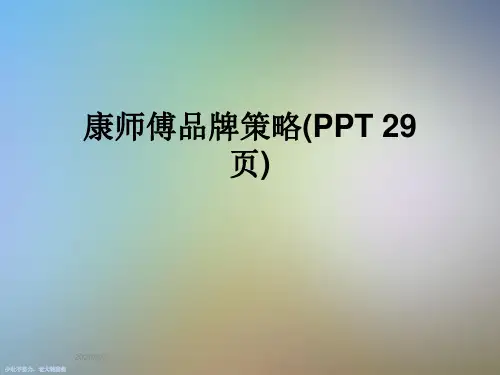 康师傅品牌策略(PPT 29页)