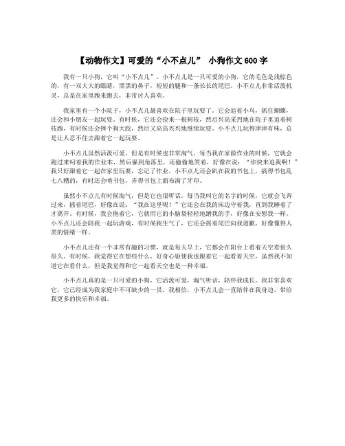 【动物作文】可爱的“小不点儿” 小狗作文600字