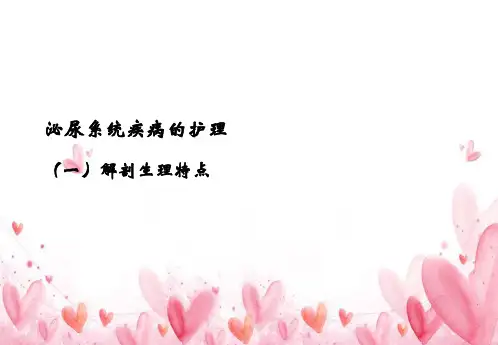 泌尿系统疾病患儿的护理(儿科护理)