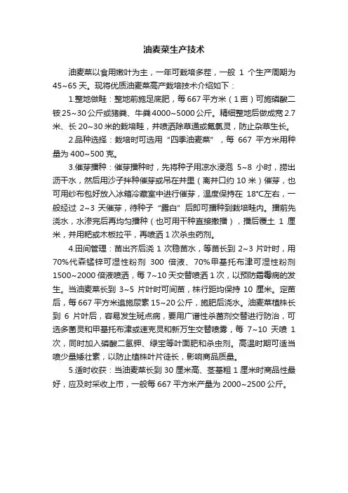 油麦菜生产技术